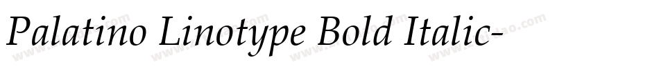 Palatino Linotype Bold Italic字体转换